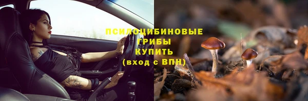 герыч Алзамай