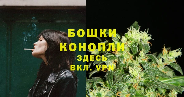 мдпв Снежногорск