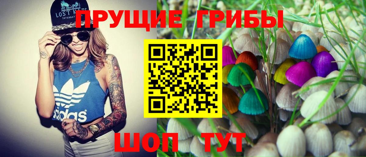 Псилоцибиновые грибы мухоморы Туймазы